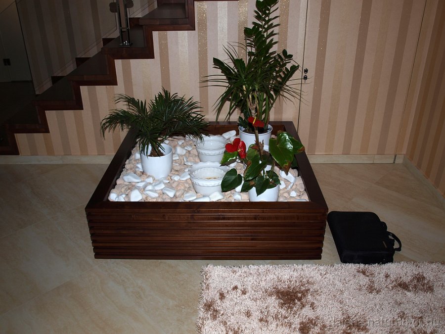 viraglada-120323-H2-helyszinen.jpg - Vir�gl�da - helysz�nen (120323-H2)