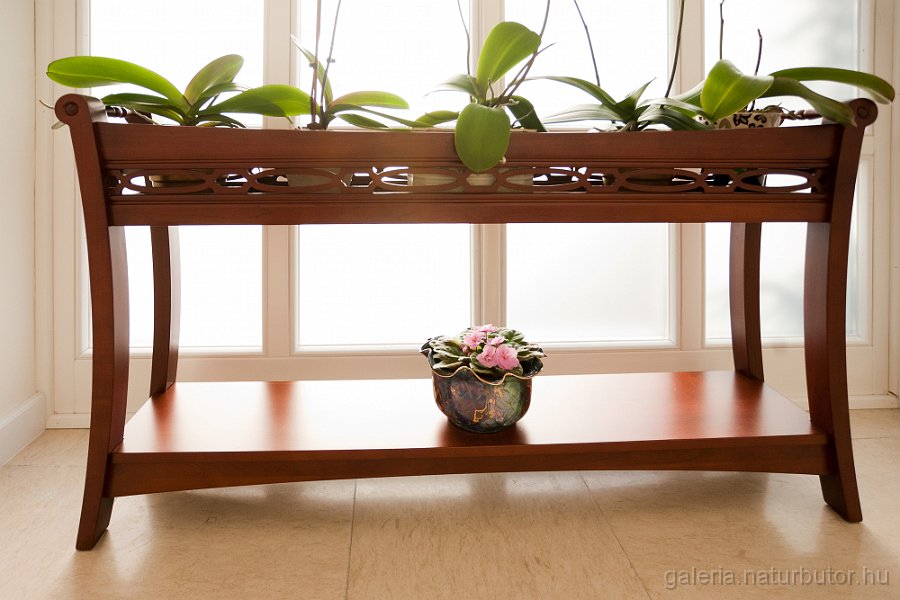 viragtarto-101114.jpg - Vir�gtart� (101114)