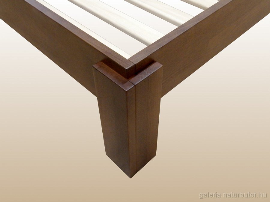 dallas_agyk_1szem_stand_labveg-reszl_gysz1614564.jpg - DALLAS �gykeret - l�bv�g r�szlet