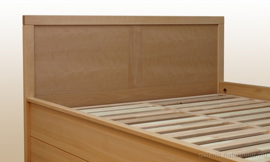 VELENCE-agyk-2szem-beep-agynt-fejv.jpg - VELENCE �gykeret - fejv�g